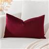 Artscope Federe Cuscini in Velluto Minimalista Copricuscino Colorato per la Decorazione Domestica Soggiorno Camera da Letto Divano 30x50cm, Vino Rosso