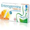 OPELLA HEALTHCARE ITALY Srl ENTEROGERMINA 10 Fl.Orali 4MLD