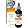 Naturalma Ribes nero (Ribes nigrum) Gemmoderivato analcoolico da gemme fresche Naturalma - Estratto liquido gocce 120 ml - Integratore alimentare - Vegano