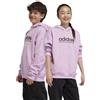 Felpa Cappuccio Hoodie Ragazzi Unisex Adidas J ALL SZN HD Rosa Cotone Felpato IJ5954