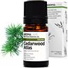 Aroma Labs - Cedro Dell'Atlante BIO - Olio Essenziale Chemiotipizato e Certificato AB/Cosmos - 5 mL