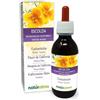 Naturalma Escolzia (Eschscholzia californica) erba Tintura Madre analcoolica Naturalma - Estratto liquido gocce 120 ml - Integratore alimentare - Vegano