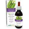Naturalma Piantaggine (Plantago lanceolata) foglie Tintura Madre analcoolica Naturalma - Estratto liquido gocce 120 ml - Integratore alimentare - Vegano