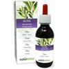 Naturalma Olivo o Ulivo (Olea europaea) foglie Tintura Madre analcoolica Naturalma - Estratto liquido gocce 120 ml - Integratore alimentare - Vegano