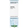 Erba vita ANANAS SOL IAL 50ML