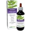 Naturalma Olmaria o Regina dei prati (Filipendula ulmaria o Spirea ulmaria) fiori Tintura Madre analcoolica Naturalma - Estratto liquido gocce 200 ml - Integratore alimentare - Vegano