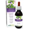 Naturalma Desmodio (Desmodium adscendens) foglie Tintura Madre analcoolica Naturalma - Estratto liquido gocce 120 ml - Integratore alimentare - Vegano