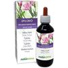 Naturalma Epilobio (Epilobium parviflorum) erba Tintura Madre analcoolica Naturalma - Estratto liquido gocce 200 ml - Integratore alimentare - Vegano