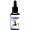 VETPLUS LTD KAMINOX Sciroppo 60ml