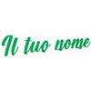 VENEZIANO Gruppo Veneziano - Scritta in plexiglass personalizzata 30-40-50-75 cm - nome in plexiglass specchiato personalizzato - Altezza massima 15cm spessore 3 mm - 100% made in Italy