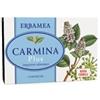 ERBAMEA SRL CARMINA PLUS 24CPR 19,2G