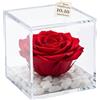 Premium-rose.com OneFlower by PREMIUM ROSE - Cubo Rosa Stabilizzata Rossa 10 cm con Marmo di Carrara - Rosa Eterna Stabilizzata Idea per San Valentino e Festa Della Mamma Made in Italy - Rosso A 1010
