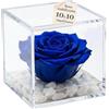 Premium-rose.com PREMIUM ROSE - Cubo Rosa Stabilizzata Blu 10 cm con Marmo di Carrara - Rosa Eterna Stabilizzata Made in Italy - Idea per Bomboniere, Lauree e Battesimi - Blu 1011