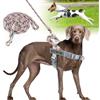 Onlyesh Pettorina Cane Taglia Piccola, con 1.5M Guinzaglio per Cani, Regolabile, Traspirante Pettorina Antifuga Cane, pettorina cane Riflettente per Passeggiate, Jogging, Addestramento, S