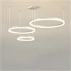 WayLuoung LED Lampadario Metallo | 3 Cerchi 20+40+60cm | 45W Lampada Sospensione Soffitto Anelli, Telecomando Dimmerabile 3000-6000K, Lampada Sospensione Paralume Acrilico Soggiorno Camera【Bianco】