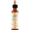 schwabe pharma italia Bach 20 Mimulus Gocce 20ml Lkr