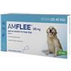 krka farmaceutici Amflee Spot On 3 Pipette 20-40KG Cani