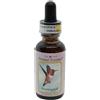 Colibri hummingbird ess 30ml