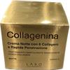 Fillerina Collagenina Crema Notte 6 Collageni Grado 3 50ml