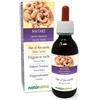 Naturalma Maitake o Poliporo frondoso (Grifola frondosa o Polyporus frondosus) fungo Tintura Madre analcoolica Naturalma - Estratto liquido gocce 120 ml - Integratore alimentare - Vegano