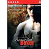 Dolmen Video Beautiful Boxer (Queer)
