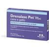 N.b.f. Lanes Srl Drenalase Pet Mini 20Cpr 400Mg