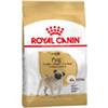 Royal Canin Carlino Adult - 2 sacchetti da 1,5kg.