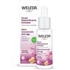 Weleda Siero Concentrato Anti-age Enotera, potente formula rimpolpante ad effetto immediato, riduce visibilmente le rughe profonde e i segni dell'età (1X30 ml)