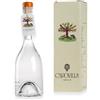 Capovilla - Distillato di Albicocche - Astucciato - 50cl