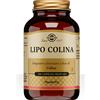 SOLGAR IT. MULTINUTRIENT SpA Solgar - Lipo Colina 100 Capsule Vegetali