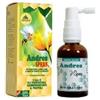 ANDRES SPRAY 30ML