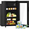 RCBDBSM frigorifero piccolo, Mini frigo 76L, 6L+70L per ghiaccio, contiene 51 lattine di limonata, acqua, birra o vino, con porta in vetro e illuminazione interna, ripiani regolabili