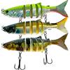 KRAKEN FISHING Confezione esca per la pesca del carniero efficace e ribassabile [+ di alta qualità] Esche Pesce Nuotatore, per la pesca del luccio, lucioperca, Pesce Pesce