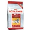 Royal Canin Italia Feline Health Nutrition Fit 32 400 G