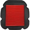 Yerbay Filtro aria per Suzuki DL 650 V-Strom 2004-2020/ DL 1000 V-Strom 2002-2010/ Kawasak KLV1000 2004-2006