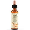 Schwabe Pharma Bach - Cherry Plum Fiori di Bach, 20ml