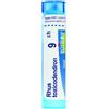 Boiron Rhus Toxicodendron 9CH Rimedio Omeopatico in Granuli, 4g