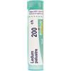 Boiron Ledum Palustre 200CH Medicinale Omeopatico, 80 granuli