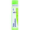 Boiron Ruta Graveolens 5CH Medicinale Omeopatico in Granuli, 4g