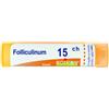 Boiron Folliculinum 15CH Rimedio Omeopatico in Granuli, 4g