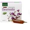 NATURA SERVICE SRL Natura Service Desmodio Rosmarino 15 Ampolle Da 15 Ml