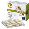 CAMON SPA Immun Alimento Complementare Per Gatti 60 Compresse