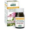 DR.GIORGINI Vis Giorgini Ser-Vis Echinacea Estratto Titolato 60 Pastiglie