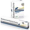 NEXTMUNE ITALY SRL Drn Enteromicro Pasta Integratore Simbiotico Cani E Gatti Siringa 15 Ml