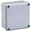 Faeg FG13504. Scatola di derivazione stagna con parete liscie e viti in metallo 100x100x50 IP56