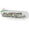 Calcium Metal, Calcium Element Sample, Calcium Shiny Crystals 99.99% 5 Grams