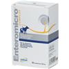 Nextmune Italy Srl Enteromicro Complex Equilibrio Intestinale Cani E Gatti 32 Compresse