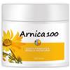 MY FACTORY Srl ARNICA 100 BARATTOLO 500ML