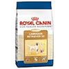 ROYAL CANIN ITALIA SpA Labrador Retriever Adult - 3KG