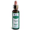 Santiveri sa AINSWORTHS RECOV PLUS 20ML
